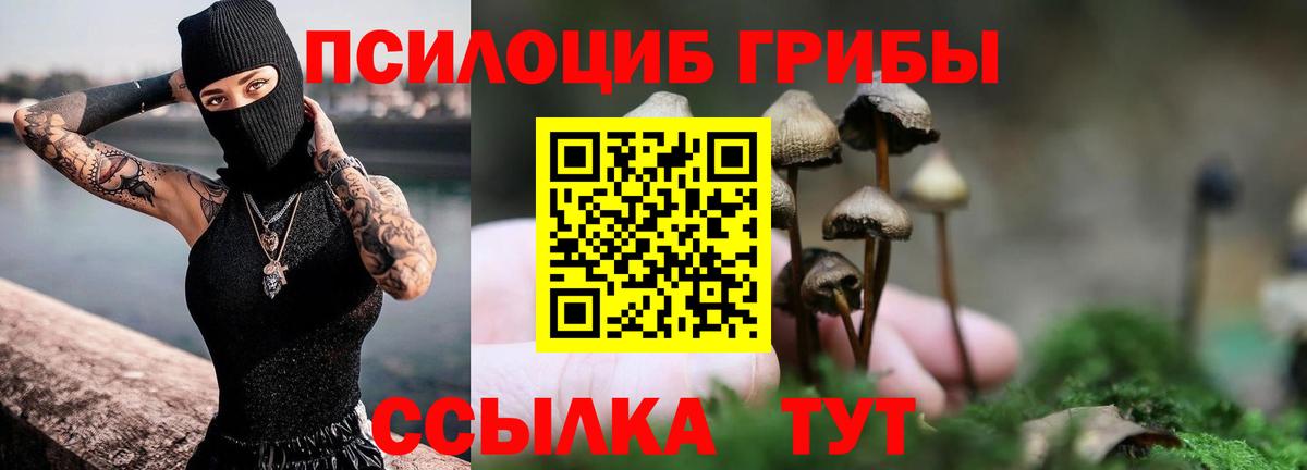 Псилоцибиновые грибы GOLDEN TEACHER  Вход с VPN  Лабинск  Псилоцибиновые грибы MAGIC MUSHROOMS 